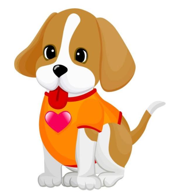 日落西山与生肖之谜，精准解读与文化寓意