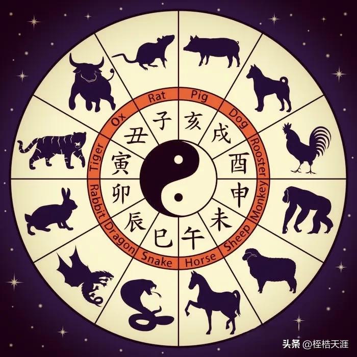 韶光似箭，揭秘最准确的生肖与时间之谜