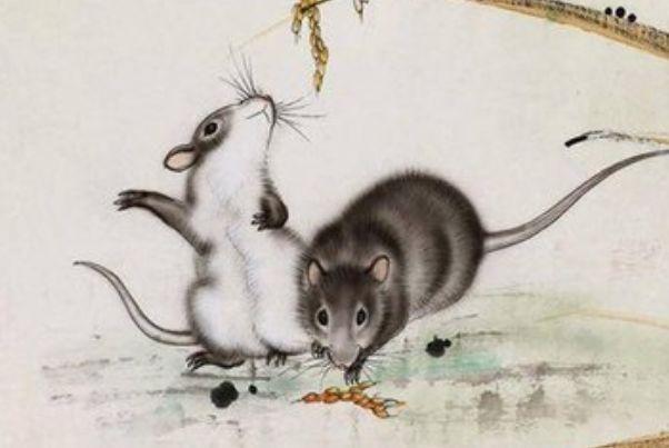 愁肠九转指什么生肖:最新解释落实