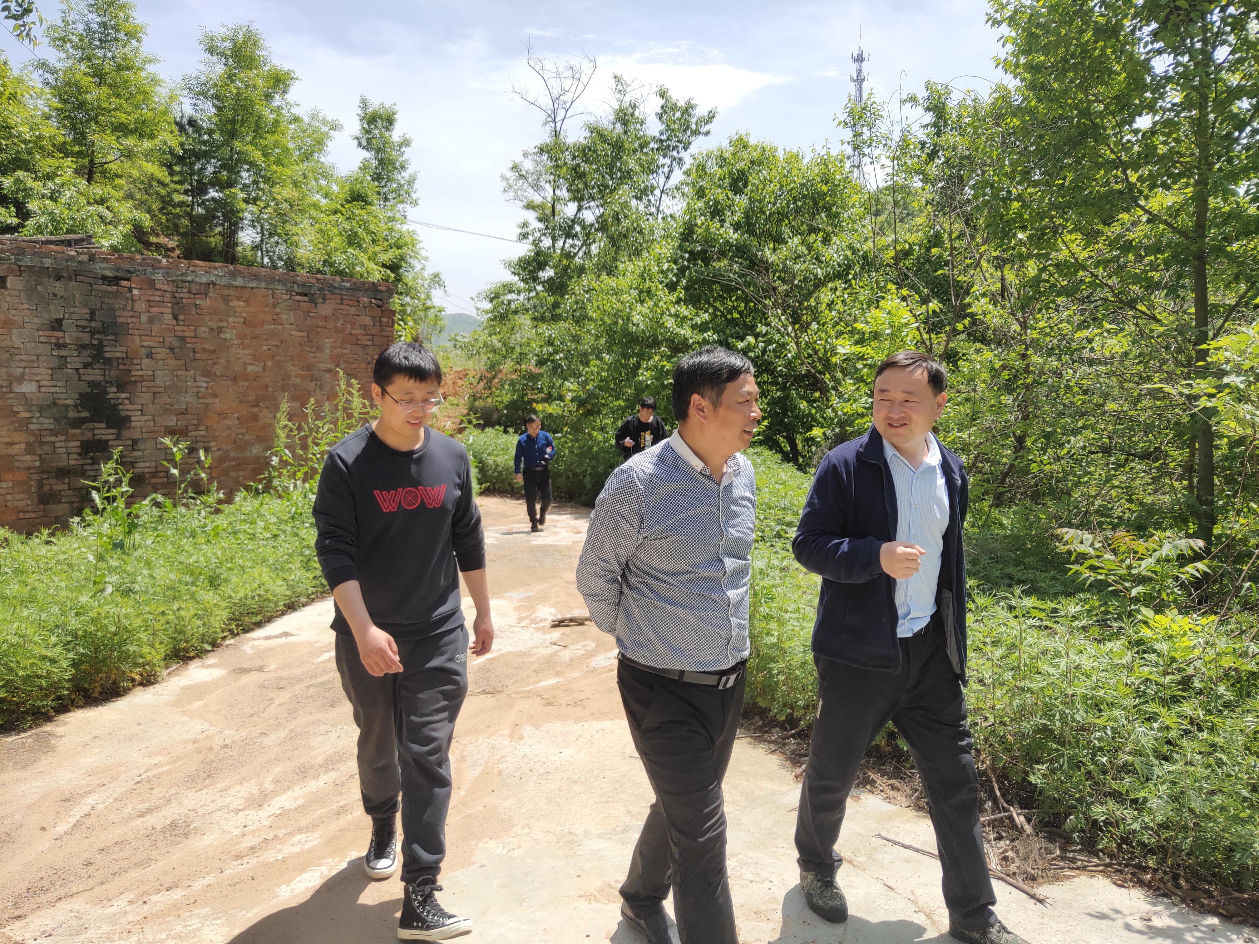 西风残照是什么生肖、合作解释落实