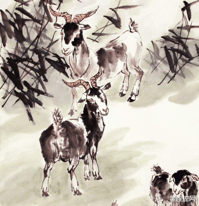 洋洋自得是什么生肖、学习作答落实解释