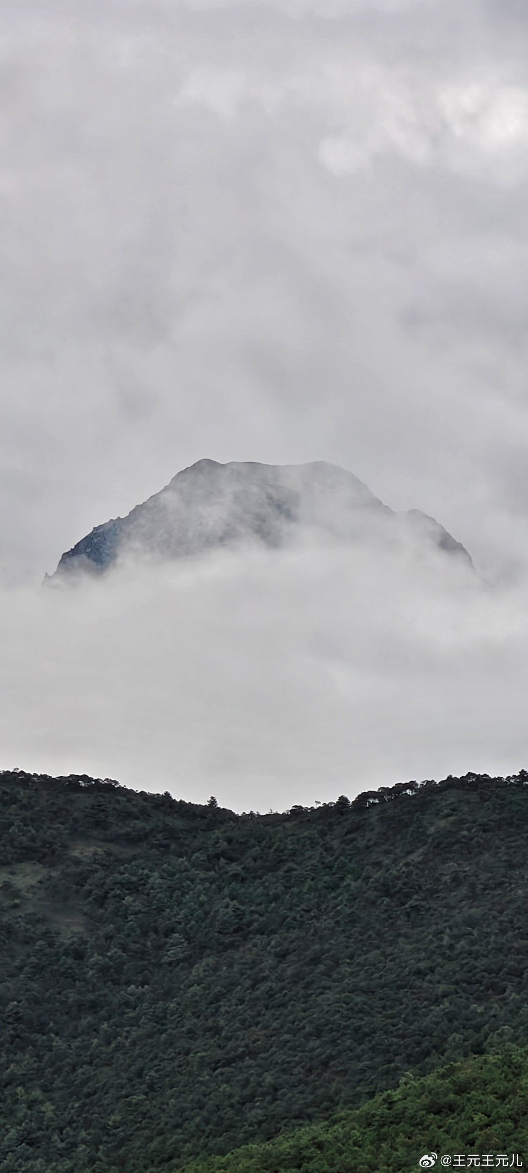 山外有山天外天打一生肖、精准作答落实解释