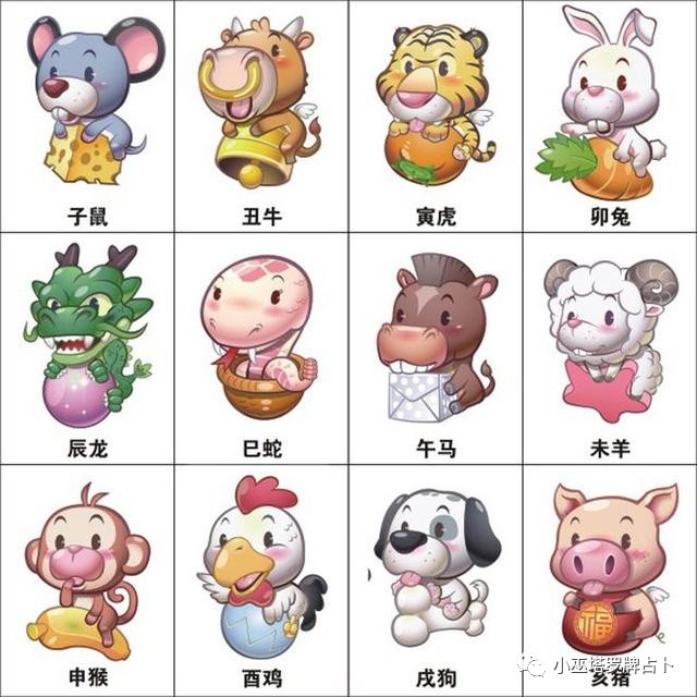 骨肉之情是什么生肖、向上解释落实