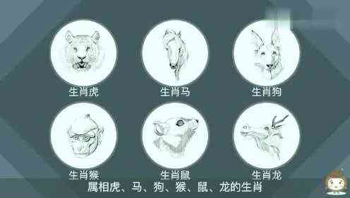四季常青财运旺,揭秘生肖之谜 四季常青财运旺,揭秘生肖之谜