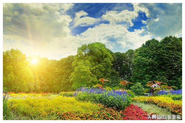 阳光下的智慧之光，揭秘阳光明媚所指的准确生肖及文化解读