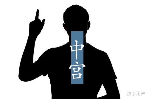 揭秘中宫一孤定一格，生肖之谜的深度解析与文化解读