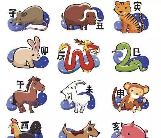 表里不一的动物是什么生肖:权威揭晓落实