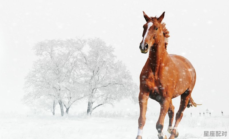 浪迹天涯是什么生肖动物:谜底即将揭晓落实