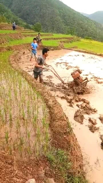 面朝黄土背朝天什么生肖:最新解释落实