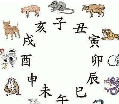 左右为难指什么生肖:词语解析解答落实