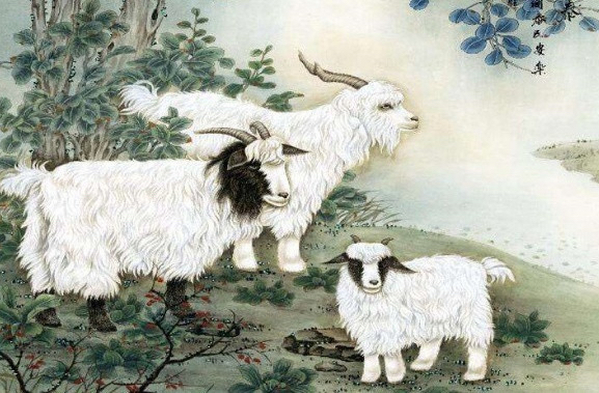 身体健康与生肖的奇妙联系，揭秘属羊人的养生之道