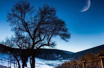 一川残月满山风，揭秘生肖之谜与文化解读