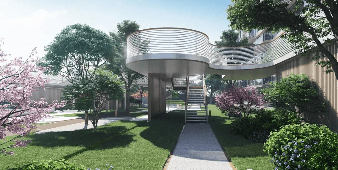 龟鹤之年，生肖中的长寿象征与经典解释