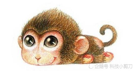 原形毕露是什么生肖、理性解释落实