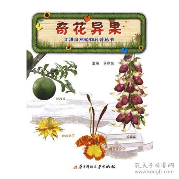 奇花异果与动物谜语，一场智慧与趣味的盛宴