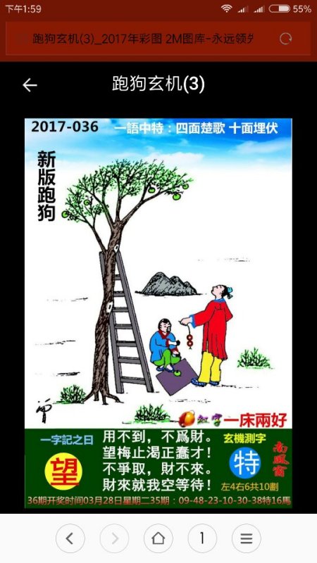 揭秘四面楚歌背后的生肖寓意