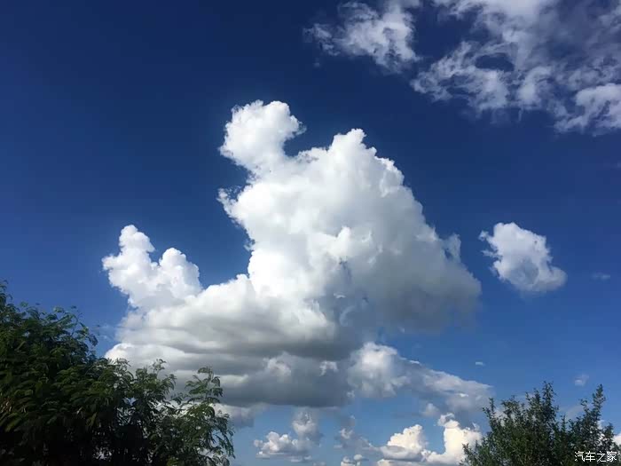 晴空万里映生肖，多样解读话吉祥