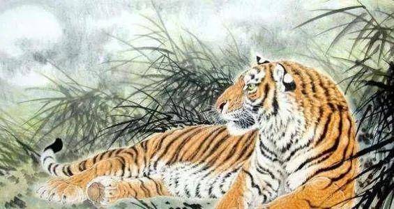 坐卧不宁是什么生肖:最快解答落实 坐卧不宁是什么生肖:最快解答落实