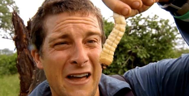 九死一生，解密生肖谜题与学习作答的智慧