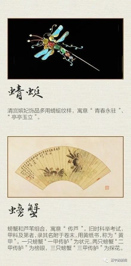 揭秘越俎代庖背后的生肖之谜，探寻其深层含义与文化寓意