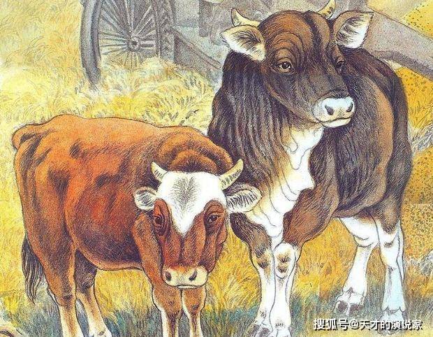 乡土难离什么生肖、科学作答落实解释