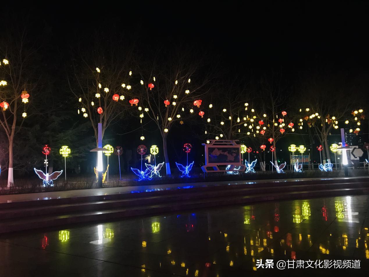 万家灯火背后的生肖谜题，实证解释与文化落地的深度解析