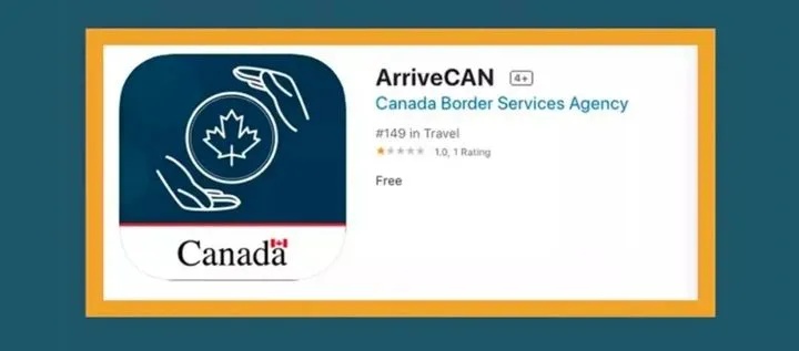 加拿大加易网打一正确生肖、神秘解释落实