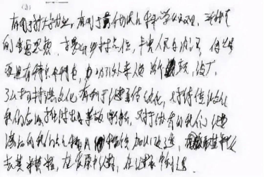 潦草塞责，生肖背后的深刻寓意与行动指南