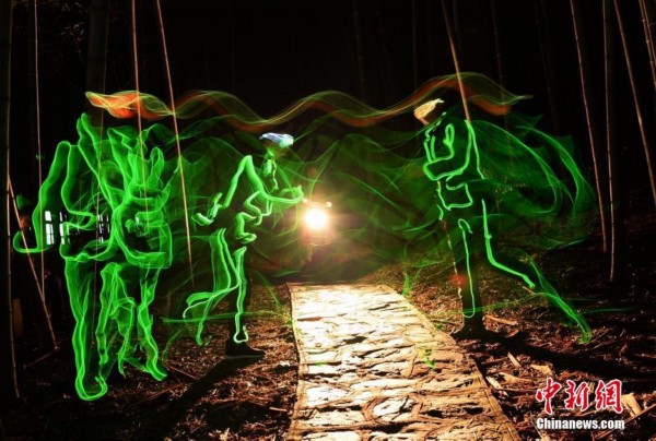 如影随形，揭秘生肖中那神秘而随性的存在