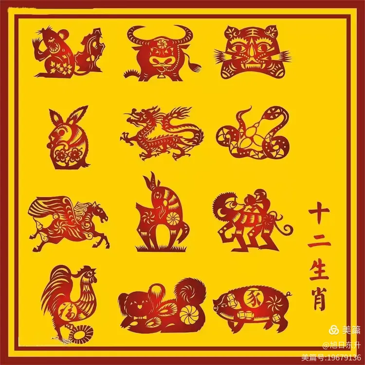 赤子之心与生肖之谜，专家解读背后的文化寓意