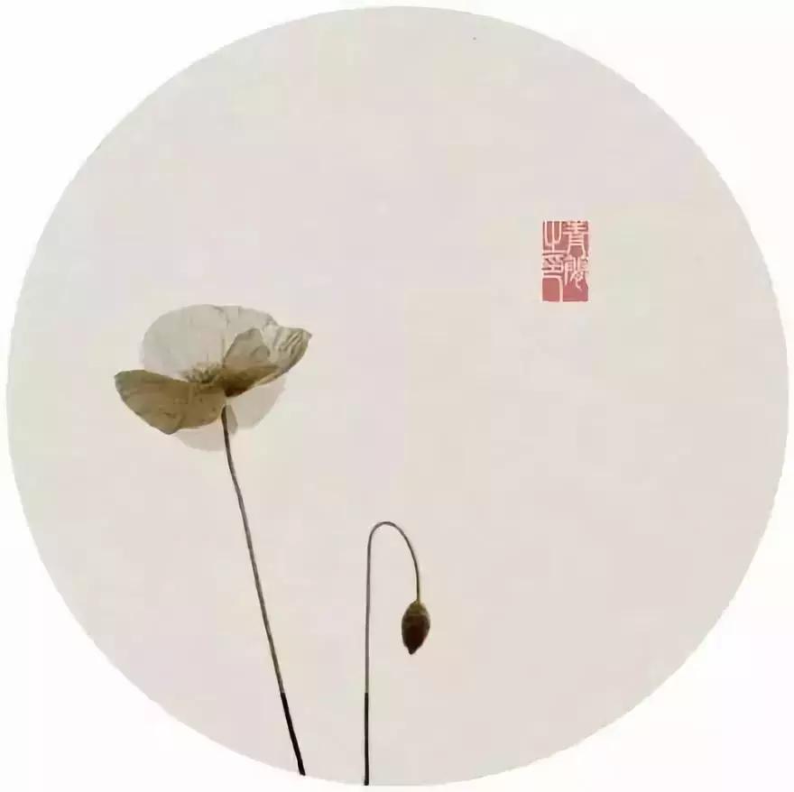 揭秘余钱剩米背后的生肖奥秘，词语解析与文化解读