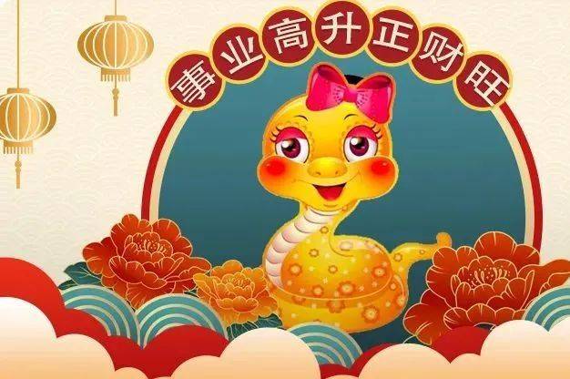 惊人之举是什么生肖、合作作答落实解释