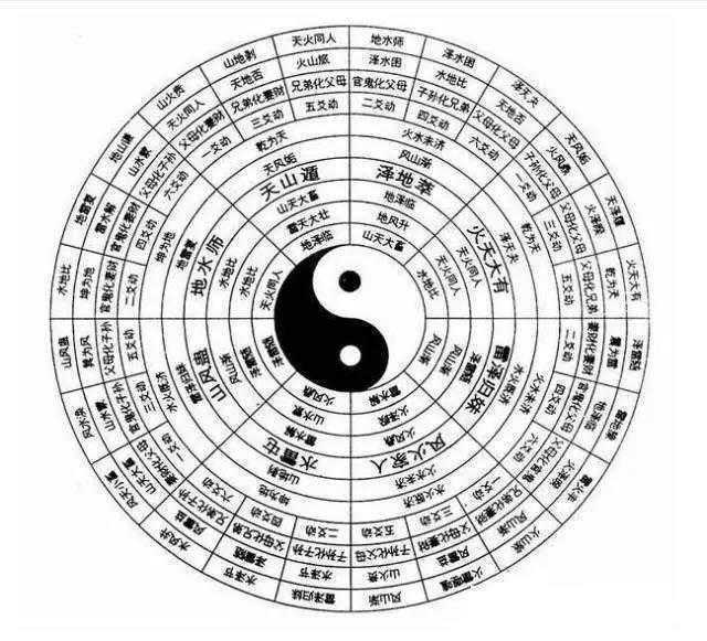 满山花果红似锦，生肖之谜的深度解析与文化寓意