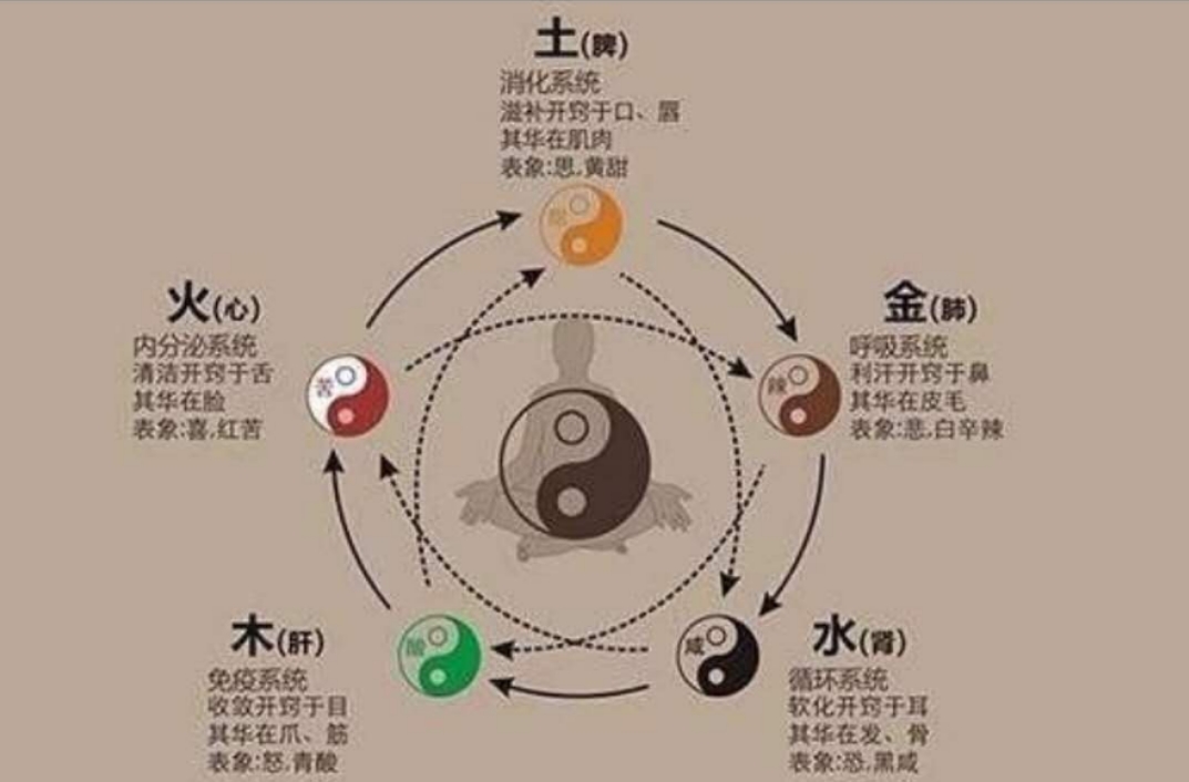 阴阳相生，财源广进，揭秘一阴一阳好发财背后的生肖奥秘