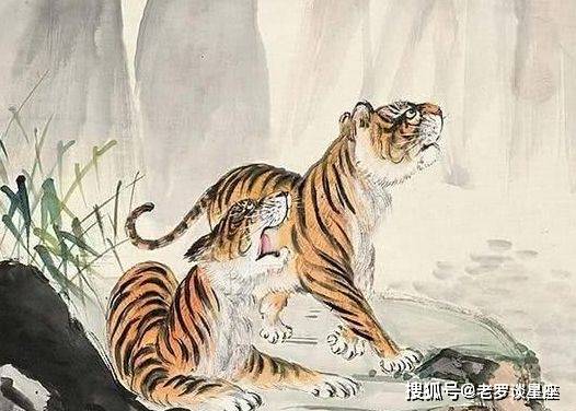 人杰地灵出富商是指什么生肖:最快解答落实