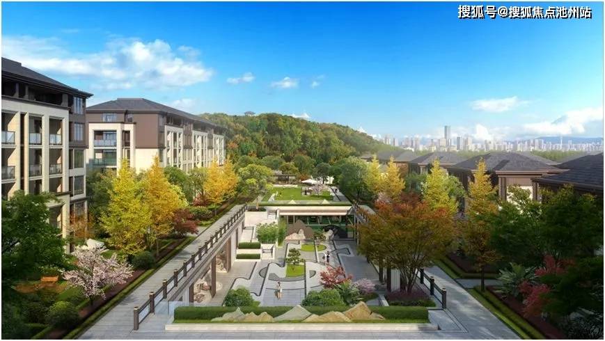 天各一方话生肖—网络解释与文化深意的碰撞