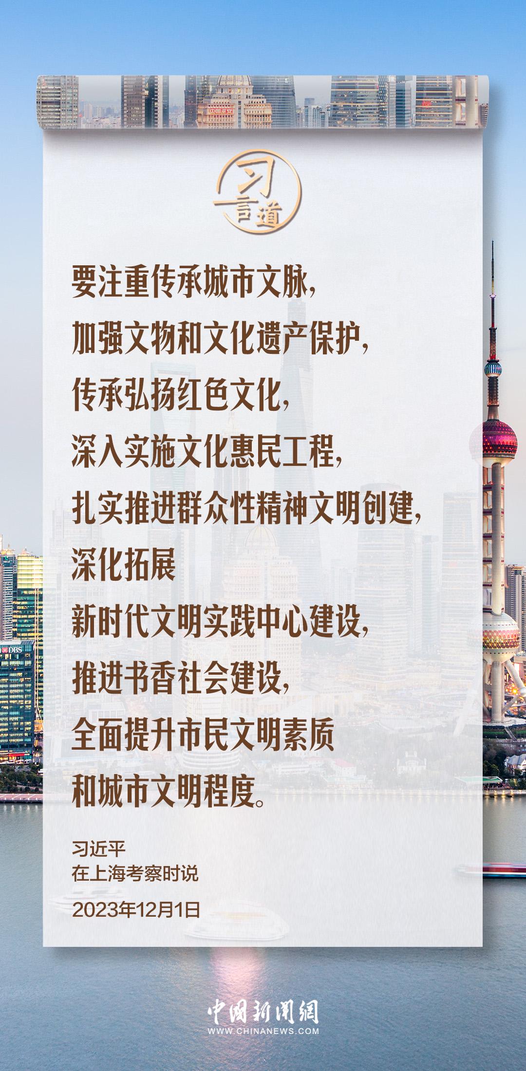 揭秘嫌肥挑瘦的生肖谜团，精彩作答与文化解读