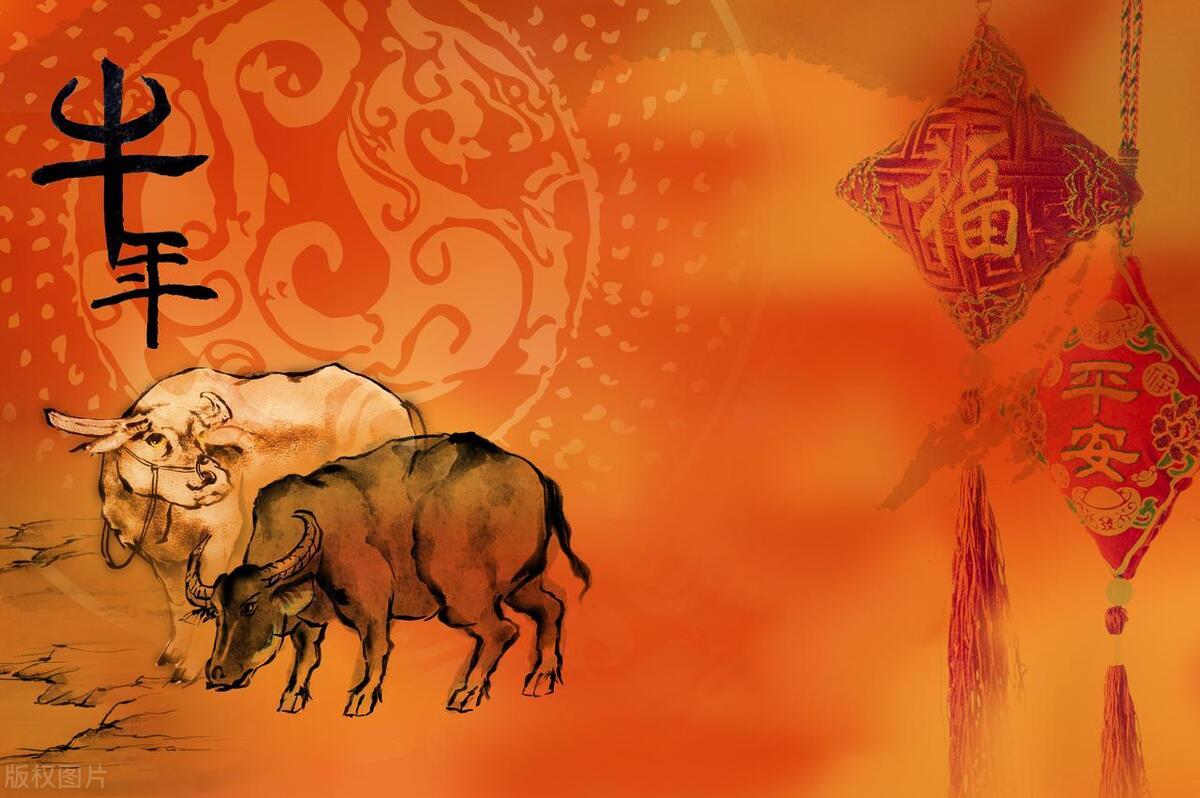 遇水叠桥，权威揭晓的生肖谜底