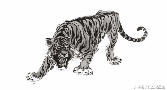 热火朝天打一个生肖:精准解答落实