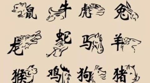 力大无穷的是什么生肖、独特解释落实