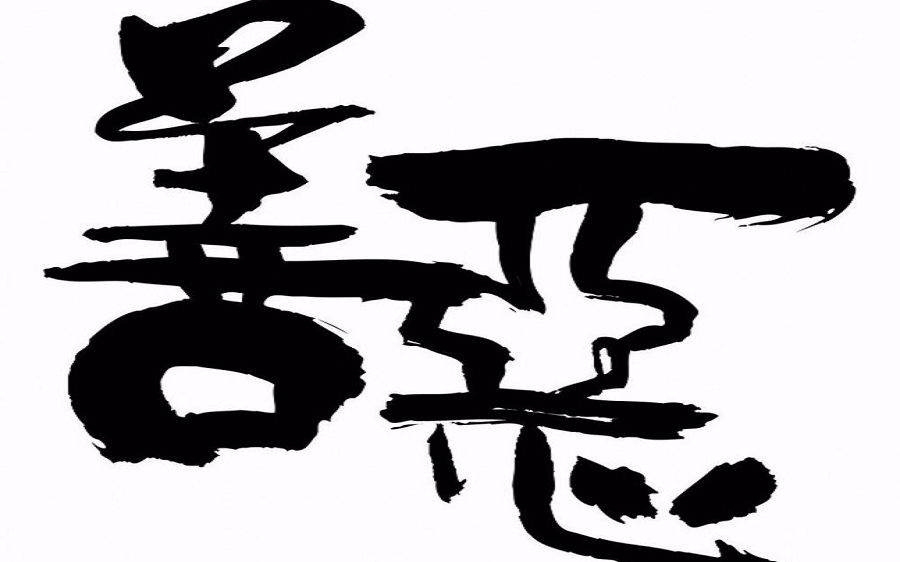 嫉恶好善与打一正确生肖，探索传统智慧与现代价值观的非凡融合