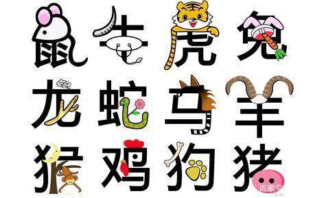 目光如豆与生肖之谜，一场智慧与洞察的较量