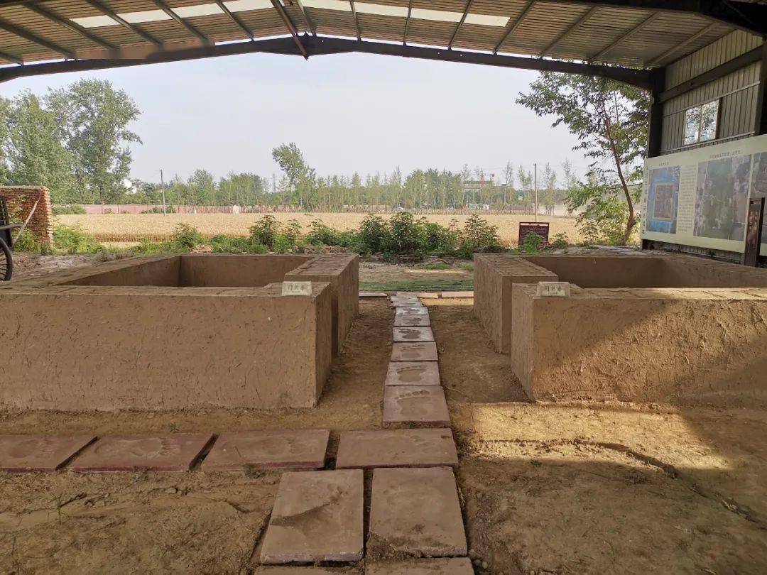 揭秘一九日出十光明的生肖奥秘,发现、解释与落实 揭秘一九日出十光明的生肖奥秘,发现、解释与落实