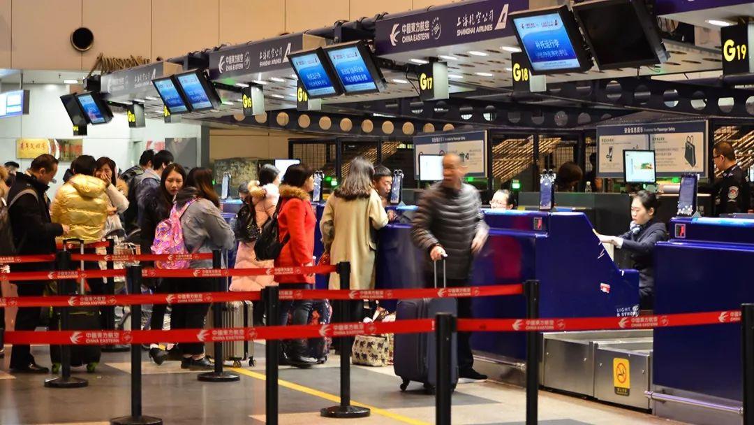 一个巴掌拍不响，生肖之首的智慧与力量