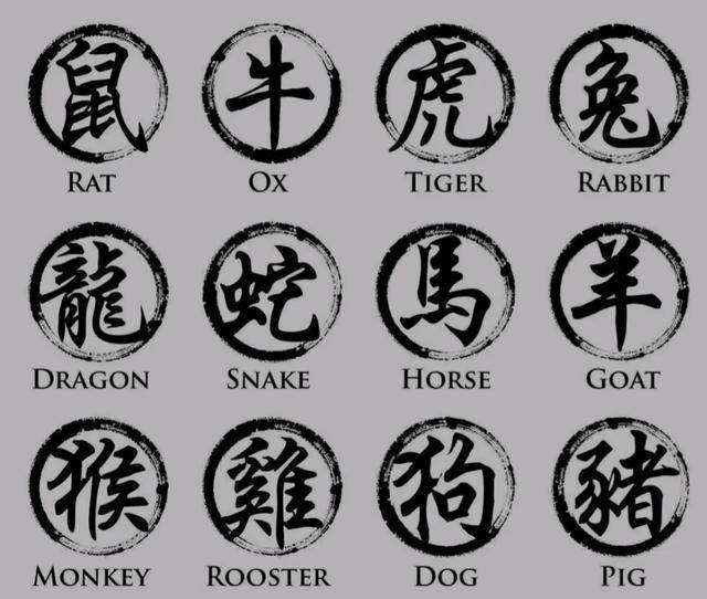 鸡零狗碎，生肖中的独特词语解析与文化落实