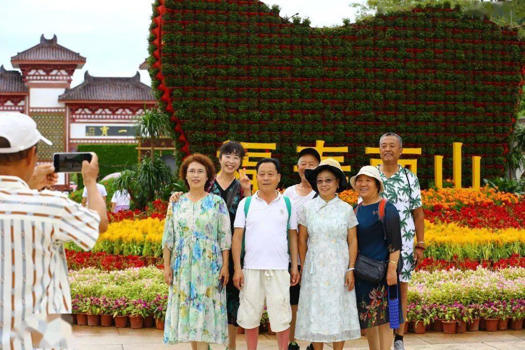 探寻南山之寿与生肖的奥秘，揭秘精准生肖的详细解释