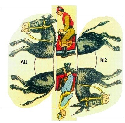 独揽大权与生肖之谜，合作解释的智慧