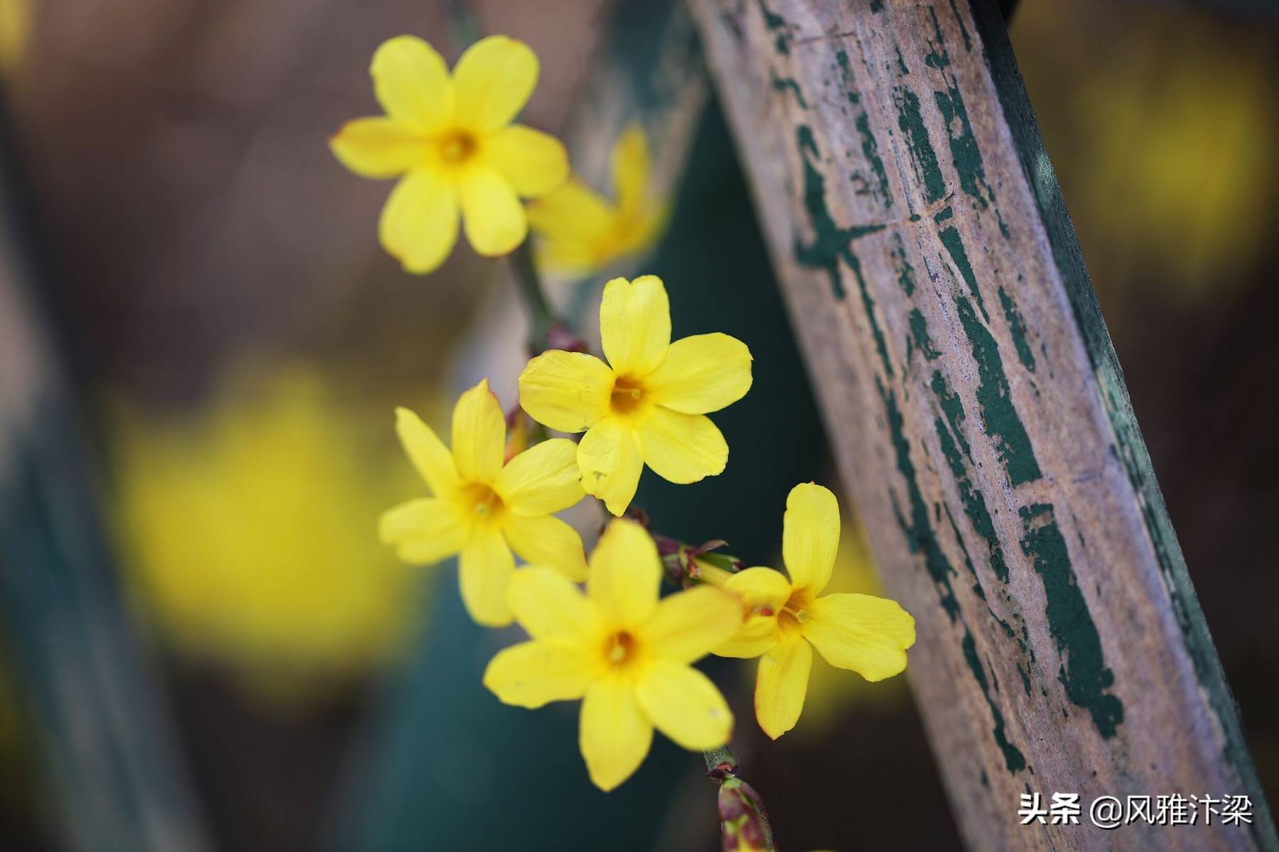 春光明媚指什么生肖:谜底即将揭晓落实