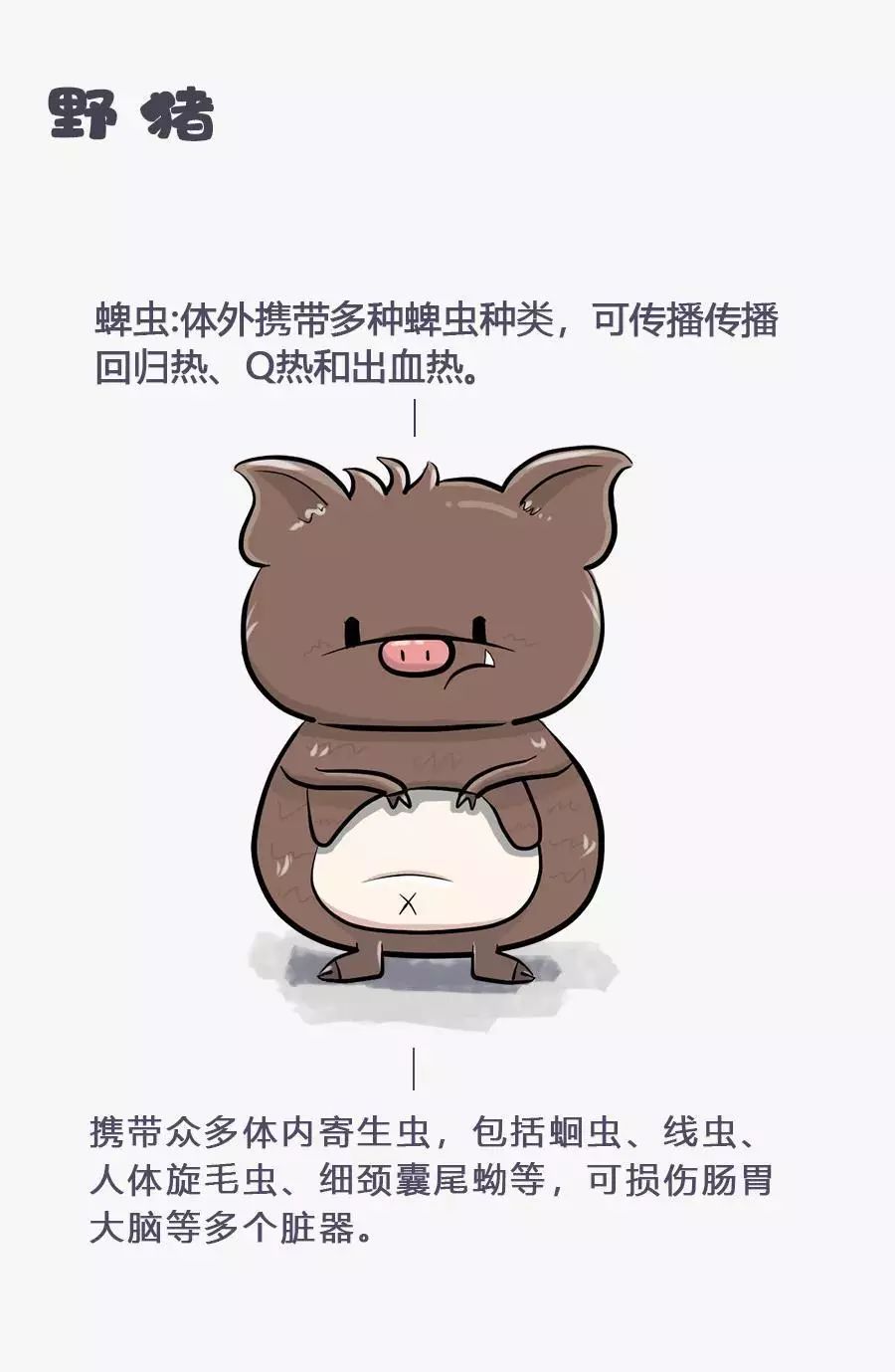 跌磕蹭蹬，生肖背后的智慧与能人解释落实