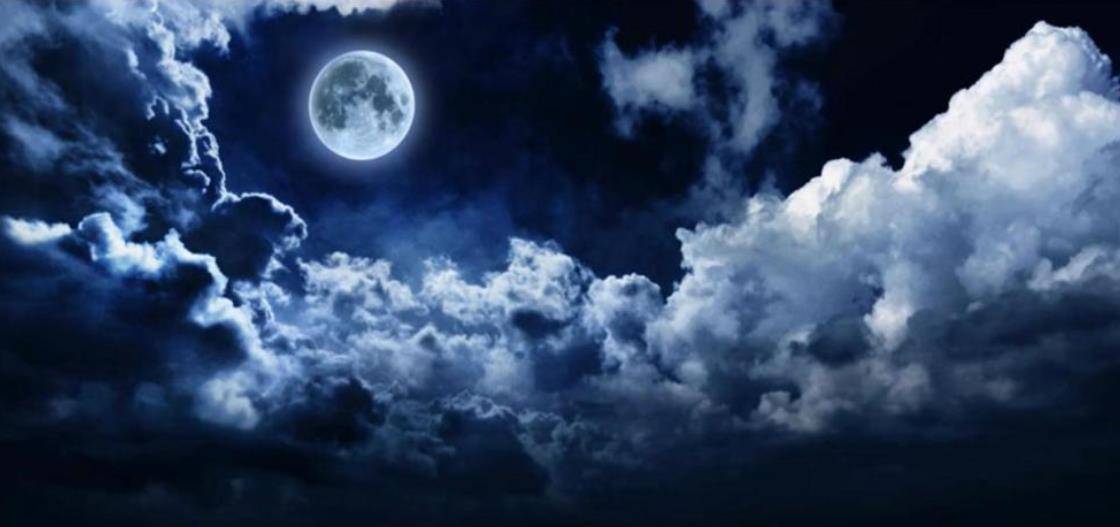 踏月乘歌破晓天是什么生肖、支持解释落实